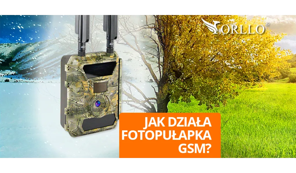 fotopułapka gsm orllo.pl