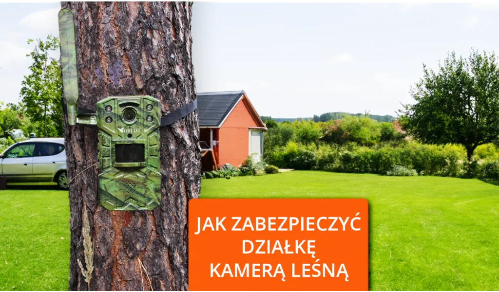 kamery leśne do zabezpieczenia działki jak zabezpieczyć działkę fotopułapką orllo.pl