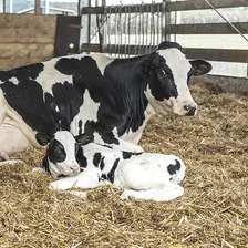 Monitoring Gospodarstwa