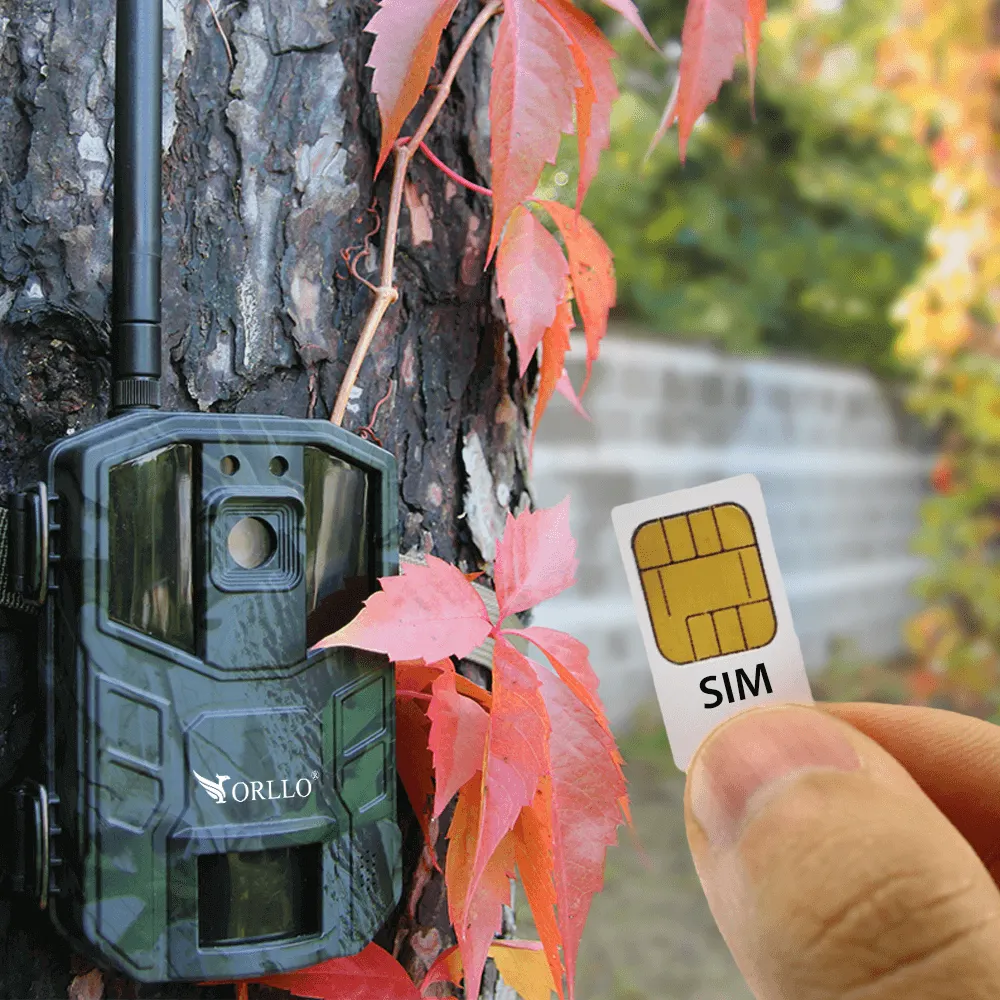 Fotopułapka GSM Kamera Leśna ORLLO HUNTERCAM 3 + GRATIS chmura
