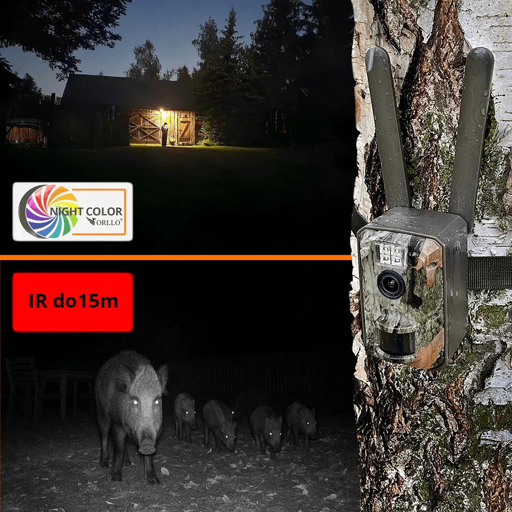 Fotopułapka GSM Kamera Leśna z Panelem Solarnym ORLLO HUNTERCAM 5 OUTLET IDEALNY