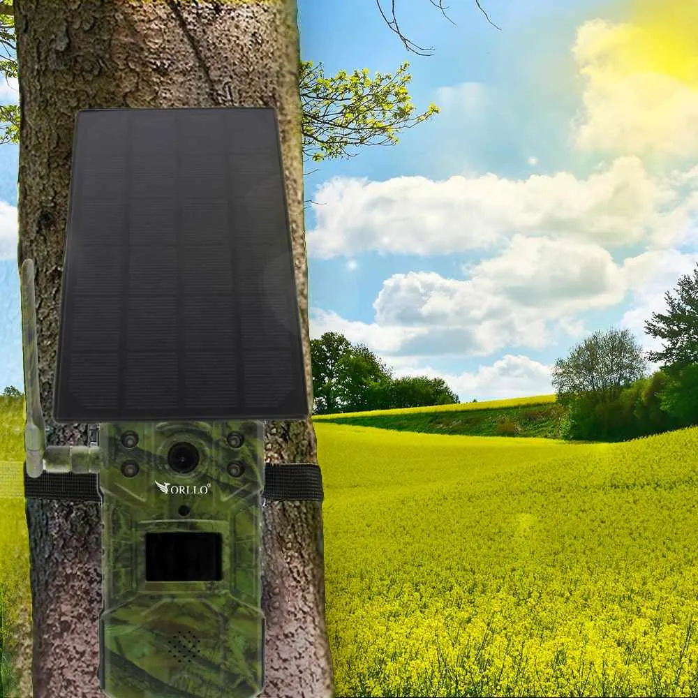 Fotopułapka GSM Solarna na Baterie ORLLO Huntercam 4 + GRATIS Chmura