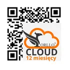 chmura dysk wirtualny do zapisu nagrań z kamer do monitoringu orllo.pl