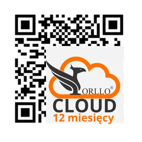 chmura dysk wirtualny do zapisu nagrań z kamer do monitoringu orllo.pl