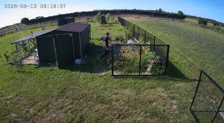 Fotopułapka na Kartę SIM Solarna ORLLO TZ1 ULTRA MORO