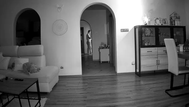 Mini Kamera IP GSM Wewnętrzna Obrotowa 4K ORLLO W10 OUTLET IDEALNY