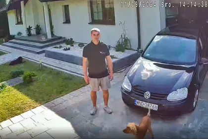 Zestaw 4 Kamer WiFi IP Zewnętrzne Obrotowe 4Mpx ORLLO N1 Nagrywarka NVR1 Dysk 1TB