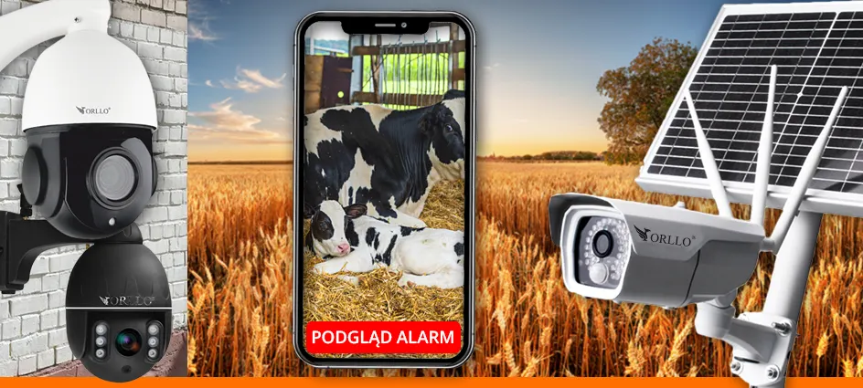 kamery do obory gospodarstwa