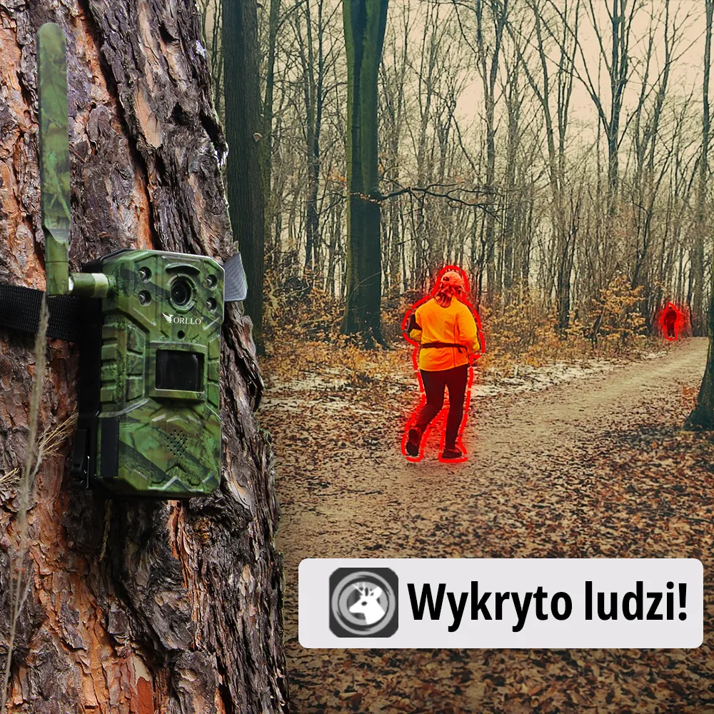 kamera leśna z detekcją ruchu orllo.pl